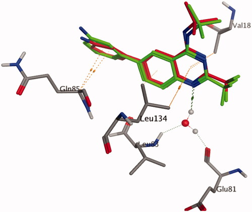 Figure 5. 3D representation of the superimposition of the docked pose (red) and the co-crystallised quinazoline ligand (green) in the CDK2 binding site (RMSD = 0.485 Å).
