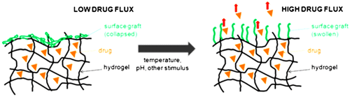 Figure 13. Shows the drug diffusion control by surface-modifying a hydrogel with an environmentally responsive polymer graft.