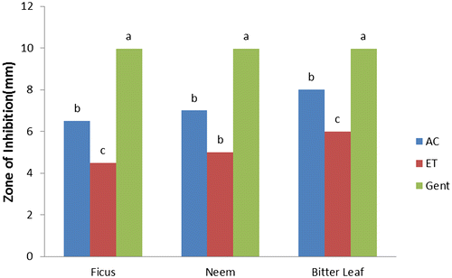 Figure 1. Antibacterial activity of leaf against Escherichia coli AC = acetone, ET = ethanol, and GE = gentamycin.