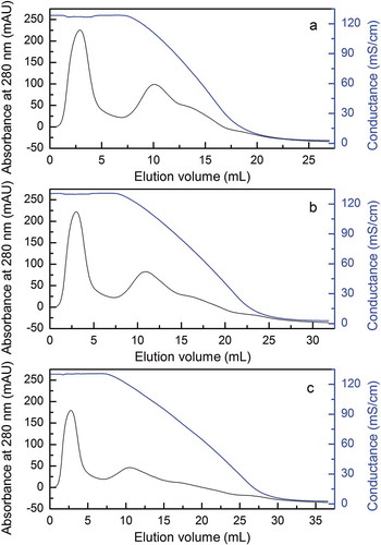 FIGURE 3 Effects of different length of gradient on HiTrap Butyl FF column chromatography. (a–c) Elution curves of HIC chromatography with 10, 15, and 20 CV length of gradient.