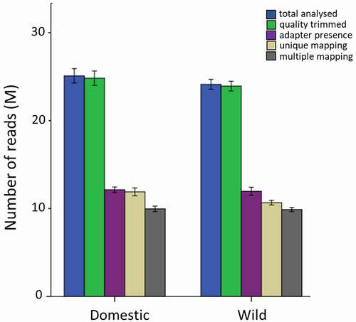 Figure 2. Number of total raw, quality-trimmed, adapter trimmed, uniquely mapped and multiply mapped reads in the domesticated- and wild female group.