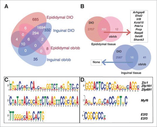 Figure 3. Differentially methylated regions in diet-induced obese and genetically obese ob/ob mice. Sonne et al., p. 127.