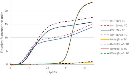 Figure 1. Amplification curves of the 16S rRNA and tet(B) genes obtained by RT-qPCR from RNA of 444.1 and 469.4.