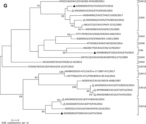 Figure 1 Continued.