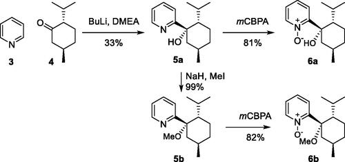 Scheme 2. Synthesis of chiral nitrone ligands 6a and 6b.
