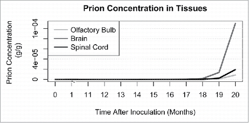 FIGURE 1. Modeled prion concentration in central nervous system (CNS) tissues: brain, spinal cord, and olfactory bulb. Prion concentrations in all other tissues are at least one order of magnitude lower than that of the CNS.