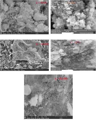 Figure 3. (a–c) SEM micrograph of all the samples.