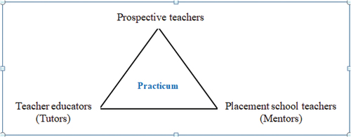 Figure 1. The practicum actors in primary teacher education.