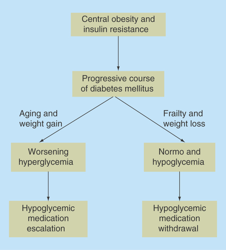 Figure 3.  The emergence of frailty may alter the natural history of diabetes from a progressive to a regressive course leading to downregulation or withdrawal of hypoglycemic medications.