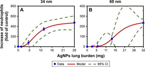 Figure 5 Dose–response describing relationship between lung burdens of (A) 34 nm and (B) 60 nm AgNPs and increase of neutrophils in BALF-based on the Hill model.Abbreviations: AgNP, silver nanoparticle; BALF, bronchoalveolar lavage fluid.