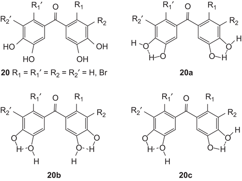 Figure 3.  Structures of hydrogen bonds between OH groups in the one ring of phenol 20.