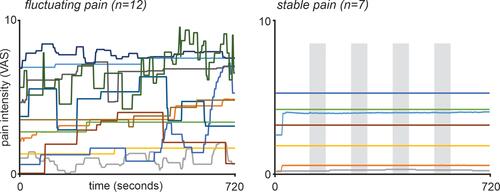 Figure 2 Ongoing pain intensity ratings during the 12-minute functional magnetic resonance imaging scan in 19 subjects with painful trigeminal neuropathy. Pain intensity was assessed on a visual analogue scale (VAS) from 0 = no pain to 10 = highest imaginable pain. The 12 subjects in which pain fluctuated throughout the scan are shown on the left and it is clear that they all display pain intensity changes throughout the entire scanning period. In contrast, plotted on the right are the 7 stable pain subjects. Apart from an initial change in 2 subjects, pain intensity remains relatively stable in all subjects throughout the 12-minute scanning period. The grey shading represents the evenly-spaced periods during which RVM functional connectivity was calculated for the stable pain subjects.