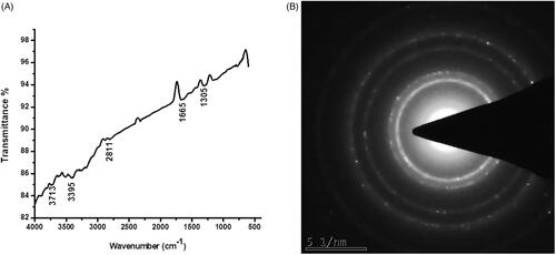 Figure 4. Fourier transform infrared (FTIR) spectroscopy analysis of AuNPs synthesized from Panax notoginseng.