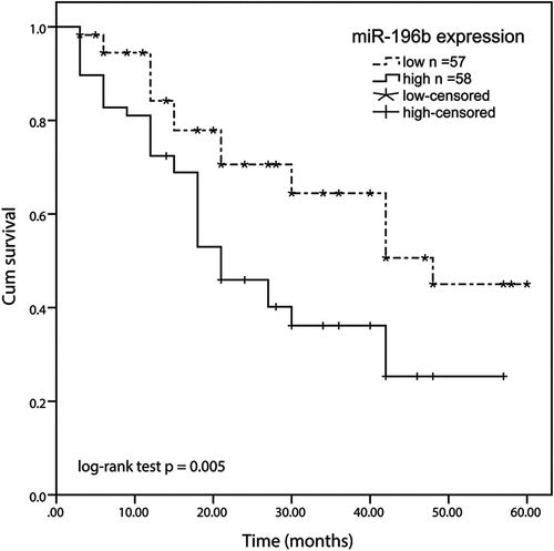 Figure 2. Kaplan-meier method was conducted to analyze the five-year survival rate of ESCC patients using SPSS software. high expression of the miR-196b group displayed a shorter overall survival rate than the low miR-196b expression group (log-rank test P= 0.005)