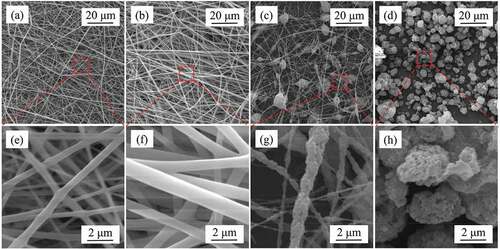 Figure 3. The SEM images of electrospinning films. (a)-(d) surface-5 to surface-8. (e)-(h) The enlargement of (a)-(d)