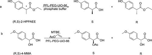 Figure 9. The kinetic resolution of 2-(4-hydroxyphenyl) propionic acid ethyl ester (2-HPPAEE) enantiomers and 4-methoxymandelic acid(4-MMA) enantiomers.