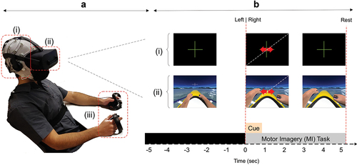Figure 1. a. Experimental setup. (i) 32 active electrodes EEG system; (ii) HMD VR; (iii) controllers for vibro-tactile feedback; b. MI trial of the training protocol. 5-seconds of baseline, followed by a cue (directional arrow) for left or right-hand MI and 5 seconds of motor imagery with (i) black screen for MI and ME conditions, and (ii) the movement of the virtual arm for NeuRow conditions: MIMO, MIMOHP, MIMOVR, and MIMOVRHP.