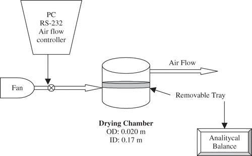 Figure 1 Convective hot air drying apparatus.