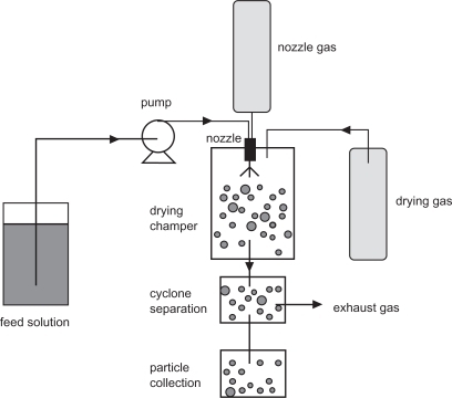 Figure 3 A schematic representation of the spray-drying process.