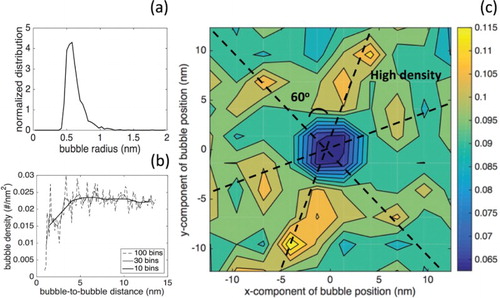 Figure 5: (a) Distribution of bubble radii. (b) Bubble pair distribution function as a function of distance between bubbles. (c) Bubble pair distribution function expressed in terms of the x- and y-positions of bubbles neighboring a central bubble.