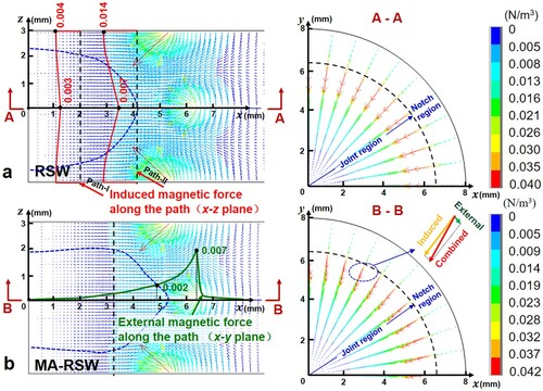 Figure 12. Distribution of the electromagnetic force within the welding region. (a) RSW, and (b) MA-RSW.