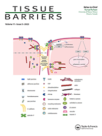 Cover image for Tissue Barriers, Volume 11, Issue 3, 2023