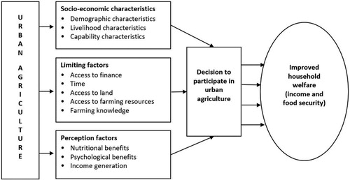 Figure 1. Conceptual framework for participation in urban agriculture (adapted from Gamhewage et al. Citation2015).
