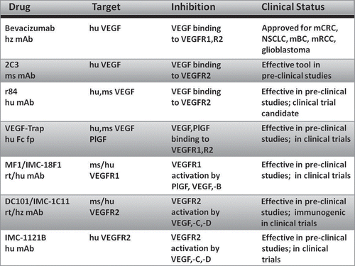 Figure 2 Current anti-angiogenic mAbs with applications in cancer therapy. hz, humanized; hu, human; ms, mouse; rt, rat; fp, fusion protein; mCRC, metastatic colorectal cancer; NSCLC, non-small cell lung cancer; mBC, metastatic breast cancer; mRCC, metastatic renal cell carcinoma.