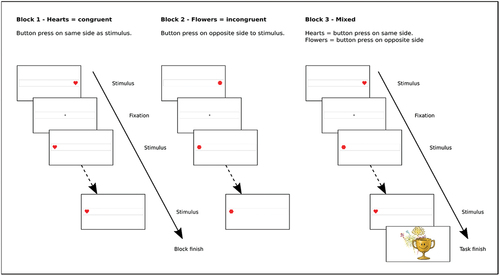 Figure 1. Screen-by-screen overview of the Hearts and Flowers task.