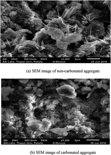 Figure 6. (a) SEM image of non-carbonated aggregate. (b) SEM image of carbonated aggregate