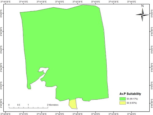 Figure 9. Available phosphorus suitability map for sunflower production of Tungi Farm.