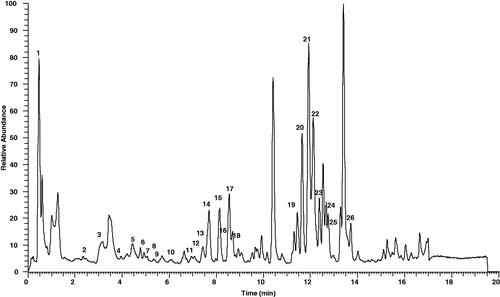 Figure 2. Total ion chromatography (TIC) of MMCL obtained using the UHPLC instrument in negative ion mode.