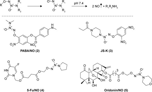 Figure 2 Mechansim of NO release from diazeniumdiolate and the structures of PABA/NO (2), JS-K (3), 5-Fu/NO (4), and oridonin/NO (5).