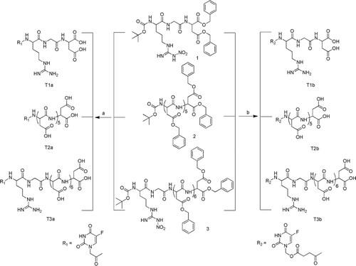 Scheme 3.  The synthesis of compounds T1a-b, T2a-b, T3a-b. Reagents and Conditions: (a) i, TFA, CH2Cl2,r.t.; ii, 4, IBCF, NMM, THF; iii, 10% Pd/ C, CH3OH, r.t.; (b) i, TFA, CH2Cl2,r.t.; ii, 6, IBCF, NMM, THF; iii, 10% Pd/ C, CH3OH, r.t. IBCF, isobutyl chloroformate; NMM, N-methyl-morpholine; TFA, trifluoroacetic acid.