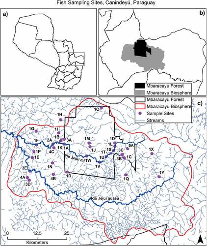 Figure 1. Fish sampling sites, Canindeyú, Paraguay. (A) outlines Canindeyú Department within Paraguay, (B) indicates Mbaracayú Forest Biosphere Reserve (gray) and Mbaracayú Forest Nature Reserve (black) within Canindeyú Department, and (C) the rivers and streams (in blue) in Canindeyú Department along with each sampling site (pink dots) and their reference code (see Table 1); the Jejuí mi (northern branch) and Jejuí guasu (southern branch) rivers are indicated by thicker blue lines, the border of the biosphere reserve is indicated by the red line, and the forest reserve is indicated by the black line.