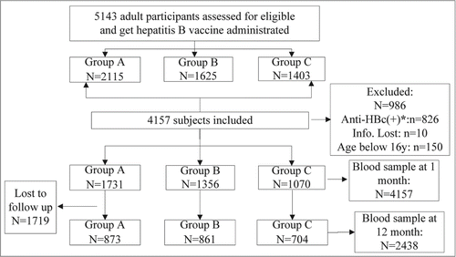Figure 1. Participant disposition (Group A: 0-1-3 schedule, group B: 0-1-6 schedule, group C: 0-1-12 schedule; *: To analysis the immunogenicity effect of hepatitis B vaccine, subjects with positive anti-HBc antibody who also got full vaccination was deleted in the process of analysis.).