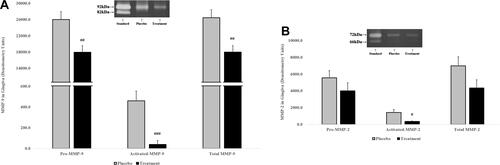 Figure 7 The effects of orally administered CMC2.24 or placebo on MMP-9 and MMP-2 in gingival extracts measured by gelatin zymography at three months. Grey bar: Placebo group; black bar: CMC2.24 treatment group. Each value represents the mean (n=4 samples/group) ± S.E.M. (A) Pro-, activated-, and total-MMP-9 in gingival extracts were measured by gelatin zymography at three months. ## and ###Indicate p<0.005 and p<0.001, respectively, values compared to placebo at 3-month time period. (B) Pro-, activated-, and total-MMP-2 in gingival extracts were measured by gelatin zymography at three months. #Indicates p<0.05, values also compared to placebo at 3-month time period.