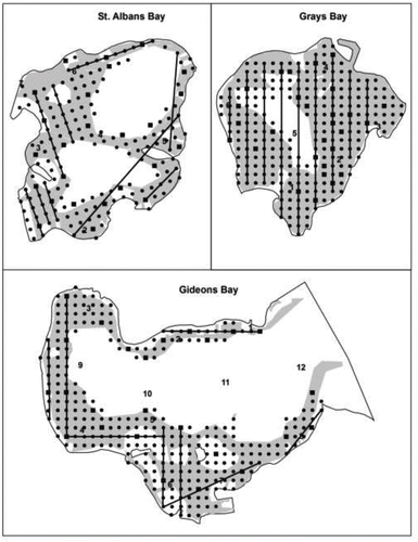 Figure 2 Sampling sites located in the 3 bays included in the demonstration project on Lake Minnetonka, MN. Numbers represent water sampling sites, shaded gray areas represent herbicide application sites, squares represent biomass collection sites, bold lines represent hydroacoustic transects, and small points are part of the point-intercept grid (<5 m) sampled to collect plant frequency data in the littoral zone.