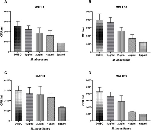 Figure 4 Intracellular bactericidal activities of different CCCP concentrations against M. abscessus and M. massilliense in macrophages. The number of M. abscessus (ATCC 19977) in macrophages treated with different concentrations of CCCP at a MOI of 1 (A) and a MOI of 10 (B); The number of M. massilliense (CCUG 48898) in macrophages treated with different concentrations of CCCP at a MOI of 1 (C) and MOI of 10 (D). All data are shown as the means ± SD (n = 3).