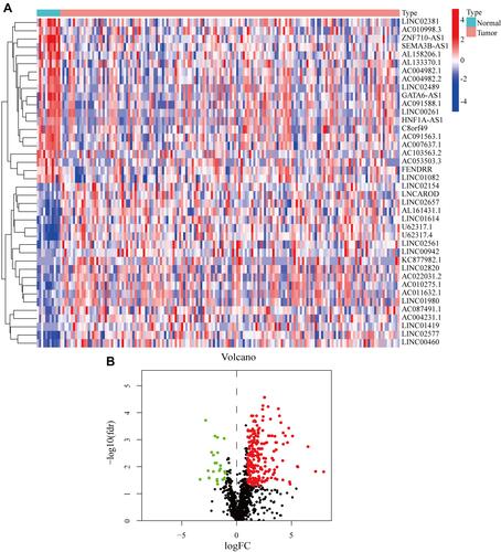 Figure 2 Recognition of DEfalncRNAs in TCGA database. (A) Heatmap of the most significantly upregulated and downregulated 20 DEfalncRNAs. (B) Volcano plot of DEfalncRNAs, upregulation as red dot and downregulation as green dot.