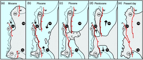 Figure 7. Schematic palaeogeographical maps illustrating the Miocene to Pleistocene history of the Mejillones Peninsula (see text for explanation). MM, Morro Mejillones Block; MF, Mejillones Fault; PM, Pampa Mejillones basin; MJ, Morro Jorgino Block; JF, Jorgino Fault; CH, Caleta Herradura Basin; CM, Cerro Moreno Block; RF, La Rinconada Fault; PA, Pampa del Aeropuerto basin.