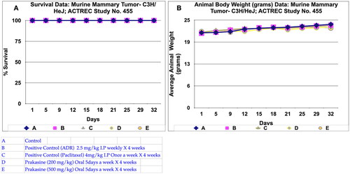 Figure 6. Survival and animal body weight (grams) data of Murine mammary Tumour- C3H/HeJ model treated with Prakasine for 32 days. A: All the groups from A-E, the animals survival rate is 100% in the study duration of 32 days. B: The Prakasine treated groups D and E is slightly having more weight gain compared to A, B and C groups indicates the efficacy of the Prakasine in the study duration of 32 days.
