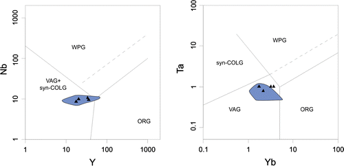 Figure 14. Tectonic discrimination of the samples in the Pearce et al. (Citation1984) diagrams. Pale-blue area represents distribution of the samples analyzed in Aysal et al. (Citation2012).