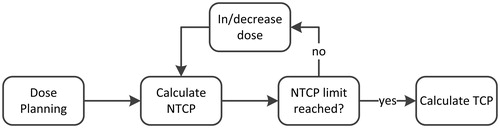 Figure 1. A flowchart of the isotoxic model. The model loads a treatment plan made by an expert and increases or decreases the fraction dose. Each time fraction dose is increased or decreased, the normal tissue complication probability (NTCP) is recalculated until a set cutoff value is reached. The tumor control probability (TCP) is hen calculated.