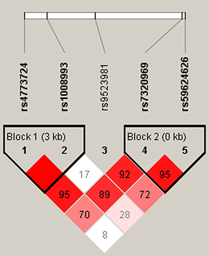 Figure 2 Haplotype block map of GPC6 variants. The numbers inside the diamonds indicate the D′ for pairwise analyses.