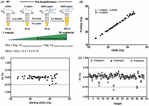 Figure 2. Evaluation of the workflow. Key to pre-amplification (Pre-Amp) is to retain the specific gene expression profile of the original cDNA sample. (A) Illustration of the analytical deduction of expected (theoretical) ΔCq between starting cDNA material and Pre-Amp sample for any given target. 10 cycles of Pre-Amp results in ∼1000 fold enrichment of specific targets: For instance 5 µl of cDNA with 1 copy/µl result in 5,000 copies/Pre-Amp reaction. Considering a dilution of 1:5, a 20 fold increase in targets (20 copies/µl) is achieved, representing a shift in about 4.3 Cq values. Thus, an unbiased Pre-Amp reaction generates a ΔCq value close to the theoretical value of 4.3. The difference (ΔΔCq) between experimental (ΔCq) and theoretical Cq (4.3) results in a value equal to zero. A tolerance range of ± 0.75 Cq is applied. (B) Expression data were obtained from day 15 EBs using the PrimePCR human embryonic stem cell (hESC) panel. Pre-Amp values reveal an excellent correlation (R2 = 0.994) to corresponding cDNA material for all 57 expressed targets. (C) Bias assessment for the Pre-Amp reaction compared to starting cDNA (ΔΔCq) displays minimal bias, within the tolerance range of ± 0.75 Cq. (D) Performing three independent Pre-Amp and quantitative PCR (qPCR) reactions from the same cDNA sample proves excellent reproducibility for expression data for all targets (target numbers as listed in Supplemental Table 1). 96.5% of targets (55 out of 57) are within the tolerance range of +/− 0.75 Cq. The average standard deviation of 3 independent Pre-amp experiments is ±0.09 ΔΔCq (0.02–0.17). All targets with Cq ≤ 32 in starting cDNA samples were analyzed.