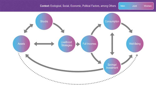 Figure 1. The Gender, Assets, and Agriculture Project conceptual framework