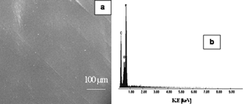 Figure 3. SEM image and EDX spectrum of TFD-co-TFE film deposited on Si(100) at room temperature by sol--gel spin coating process