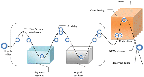 Figure 2. Process flow diagram for preparation of NF membrane.