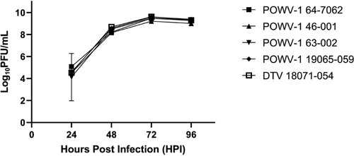 Figure 3. Growth kinetics of Powassan virus (POWV-1) and deer tick virus (DTV) in baby hamster kidney (BHK-21) cells. Replication in BHK-21 is similar among all isolates. Data points represent mean +/- SEM (n = 3 per strain). Two-way ANOVA and Tukey’s multiple comparisons test (p = 0.8261). 